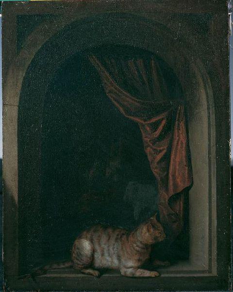 Gerard Dou Eine Katze am Fenster eines Malerateliers oil painting image